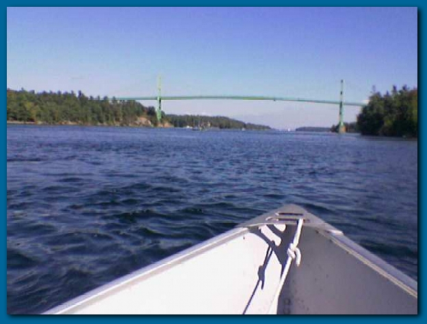 600x449 pixels (174K)