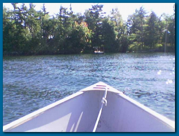 600x449 pixels (218K)